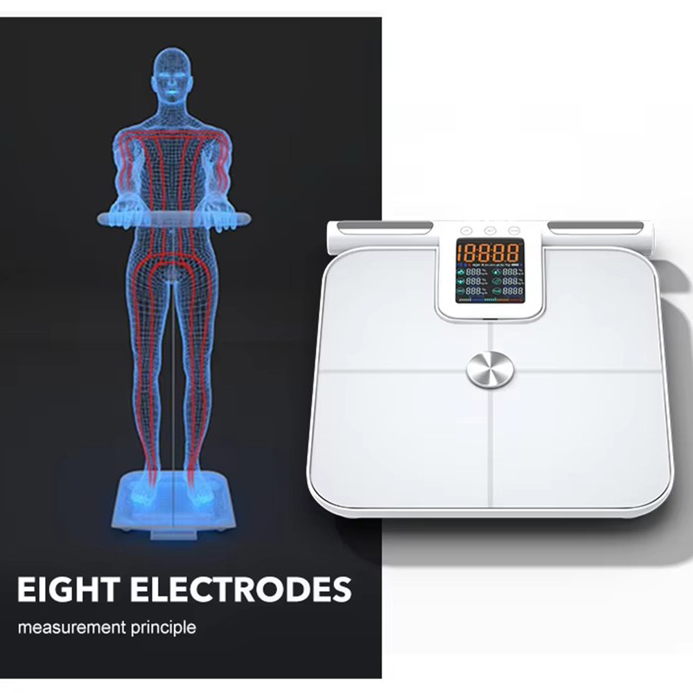 Smart Body Fat Scale for with  - Body Fat Scale Smart recension och pris